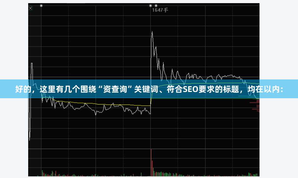 好的，这里有几个围绕“资查询”关键词、符合SEO要求的标题，均在以内：