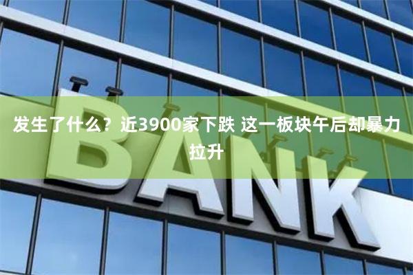 发生了什么？近3900家下跌 这一板块午后却暴力拉升